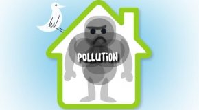 Comment réduire la pollution de l’air intérieur ?